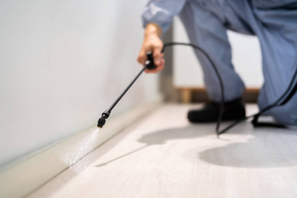 Licensed Pest Control service in Hooverson Heights, WV - Nex Pest Control