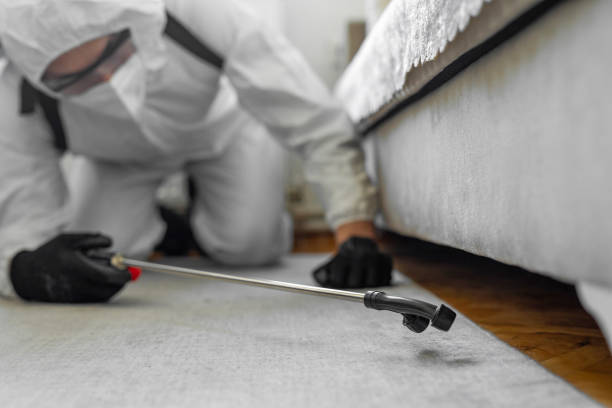 Professional Pest Control technician working in Hooverson Heights, WV