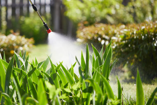 24/7 Emergency Emergency Pest Control experts in Hooverson Heights, WV