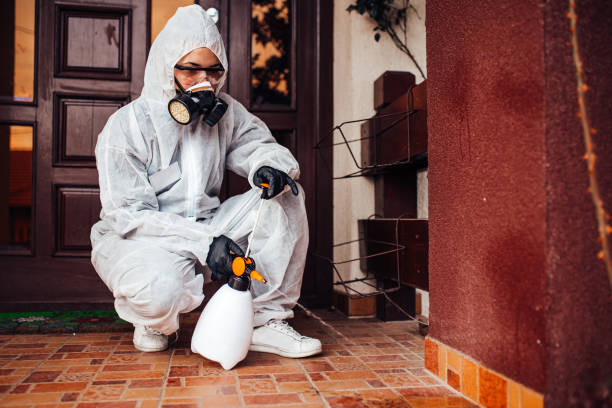 Reliable Emergency Pest Control contractor in Hooverson Heights, WV by Nex Pest Control