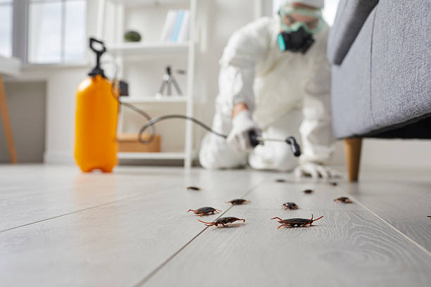 Trusted Rodent Control service in Hooverson Heights, WV - Nex Pest Control