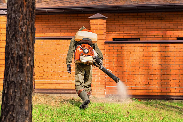 Trusted Mosquito Control service in Hooverson Heights, WV - Nex Pest Control